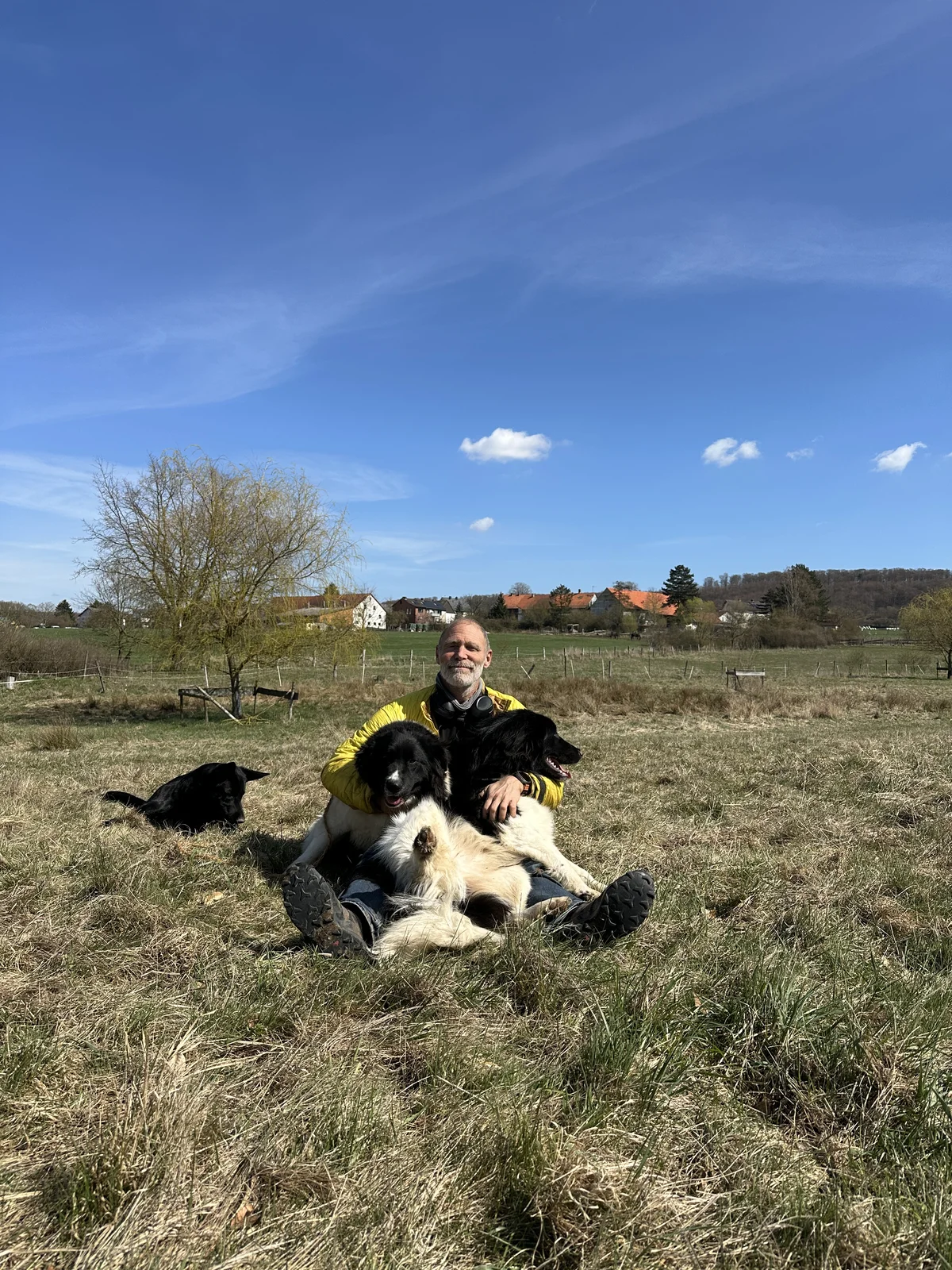 Karakachan Rah & Sun auf dem Pferdehof